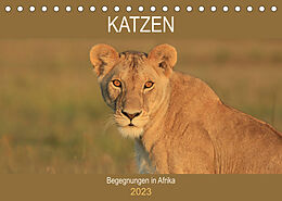 Kalender Katzen - Begegnungen in Afrika (Tischkalender 2023 DIN A5 quer) von Michael Herzog