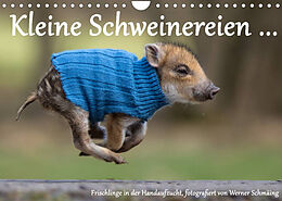 Kalender Kleine Schweinereien (Wandkalender 2023 DIN A4 quer) von Werner Schmäing