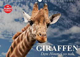 Kalender Giraffen. Dem Himmel so nah (Wandkalender 2023 DIN A3 quer) von Elisabeth Stanzer