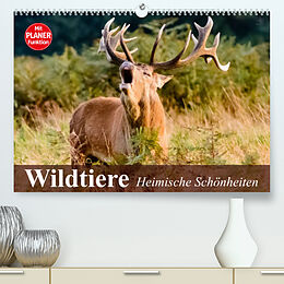 Kalender Wildtiere. Heimische Schönheiten (Premium, hochwertiger DIN A2 Wandkalender 2023, Kunstdruck in Hochglanz) von Elisabeth Stanzer