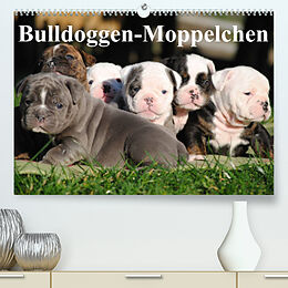 Kalender Bulldoggen-Moppelchen (Premium, hochwertiger DIN A2 Wandkalender 2023, Kunstdruck in Hochglanz) von Elisabeth Stanzer