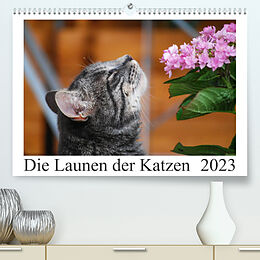 Kalender Die Launen der Katzen 2023 (Premium, hochwertiger DIN A2 Wandkalender 2023, Kunstdruck in Hochglanz) von Anna Kropf
