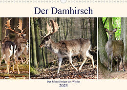 Kalender Der Damhirsch - Der Schaufelträger des Waldes (Wandkalender 2023 DIN A3 quer) von Arno Klatt