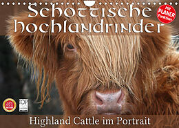 Kalender Schottische Hochlandrinder - Highland Cattle im Portrait (Wandkalender 2023 DIN A4 quer) von Martina Cross