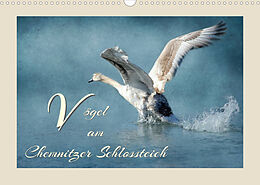 Kalender Vögel am Chemnitzer Schlossteich (Wandkalender 2023 DIN A3 quer) von Heike Hultsch