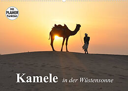 Kalender Kamele in der Wüstensonne (Wandkalender 2023 DIN A2 quer) von Elisabeth Stanzer