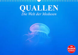 Kalender Quallen. Die Welt der Medusen (Wandkalender 2023 DIN A3 quer) von Elisabeth Stanzer