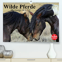 Kalender Wilde Pferde. Mustangs in USA (Premium, hochwertiger DIN A2 Wandkalender 2023, Kunstdruck in Hochglanz) von Elisabeth Stanzer