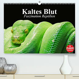 Kalender Kaltes Blut. Faszination Reptilien (Premium, hochwertiger DIN A2 Wandkalender 2023, Kunstdruck in Hochglanz) von Elisabeth Stanzer