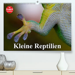 Kalender Kleine Reptilien (Premium, hochwertiger DIN A2 Wandkalender 2023, Kunstdruck in Hochglanz) von Elisabeth Stanzer