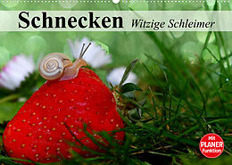Kalender Schnecken. Witzige Schleimer (Wandkalender 2023 DIN A2 quer) von Elisabeth Stanzer