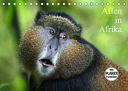Kalender Affen in Afrika (Tischkalender 2023 DIN A5 quer) von Michael Herzog
