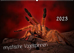 Kalender Mystische Vogelspinnen (Wandkalender 2023 DIN A2 quer) von Horst Baderschneider