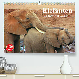 Kalender Elefanten in freier Wildbahn (Premium, hochwertiger DIN A2 Wandkalender 2023, Kunstdruck in Hochglanz) von Elisabeth Stanzer