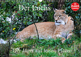 Kalender Der Luchs - Der Jäger auf leisen Pfoten (Wandkalender 2023 DIN A3 quer) von Arno Klatt
