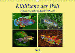 Kalender Killifische der WeltCH-Version (Wandkalender 2023 DIN A3 quer) von Rudolf Pohlmann