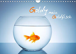 Kalender Goldy - mein Goldfisch (Wandkalender 2023 DIN A4 quer) von rclassen