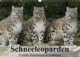 Kalender Schneeleoparden. Perfekte Raubkatzen-Schönheiten (Wandkalender 2023 DIN A3 quer) von Elisabeth Stanzer