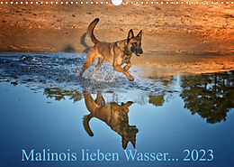 Kalender Malinois lieben Wasser (Wandkalender 2023 DIN A3 quer) von Susanne Schwarzer