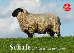 Kalender Schafe zählen leicht gemacht! (Wandkalender 2023 DIN A3 quer) von Elisabeth Stanzer