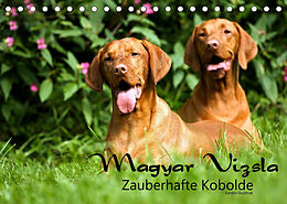 Kalender Magyar Vizsla - Zauberhafte Kobolde (Tischkalender 2023 DIN A5 quer) von Kerstin Grüttner