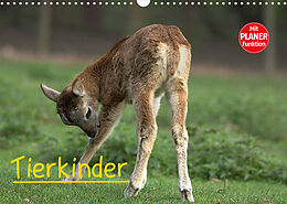 Kalender Tierkinder (Wandkalender 2023 DIN A3 quer) von Arno Klatt