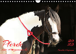 Kalender Pferde - eine Herzenssache (Wandkalender 2023 DIN A4 quer) von Karolin Heepmann
