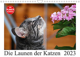 Kalender Die Launen der Katzen 2023 (Wandkalender 2023 DIN A4 quer) von Anna Kropf