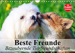 Kalender Beste Freunde. Bezaubernde Tierfreundschaften (Wandkalender 2023 DIN A4 quer) von Elisabeth Stanzer
