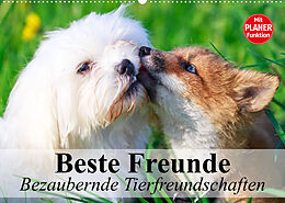 Kalender Beste Freunde. Bezaubernde Tierfreundschaften (Wandkalender 2023 DIN A2 quer) von Elisabeth Stanzer