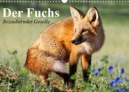 Kalender Der Fuchs. Bezaubernder Geselle (Wandkalender 2023 DIN A3 quer) von Elisabeth Stanzer