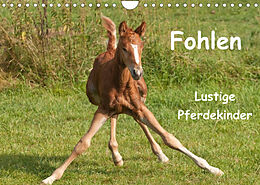 Kalender Fohlen - Lustige Pferdekinder (Wandkalender 2023 DIN A4 quer) von Meike Bölts