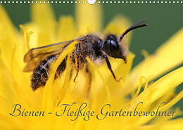 Kalender Bienen - Fleißige Gartenbewohner (Wandkalender 2023 DIN A3 quer) von Silvia Hahnefeld