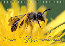 Kalender Bienen - Fleißige Gartenbewohner (Tischkalender 2023 DIN A5 quer) von Silvia Hahnefeld