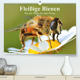 Kalender Fleißige Bienen. Von der Blüte bis zum Honig (Premium, hochwertiger DIN A2 Wandkalender 2023, Kunstdruck in Hochglanz) von Elisabeth Stanzer