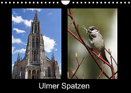 Kalender Ulmer Spatzen (Wandkalender 2023 DIN A4 quer) von Kattobello