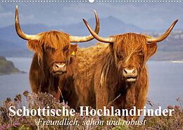 Kalender Schottische Hochlandrinder. Freundlich, schön und robust (Wandkalender 2023 DIN A2 quer) von Elisabeth Stanzer
