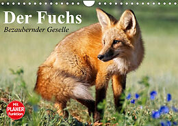 Kalender Der Fuchs. Bezaubernder Geselle (Wandkalender 2023 DIN A4 quer) von Elisabeth Stanzer