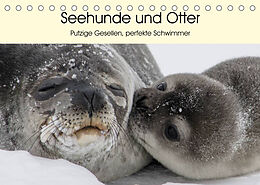 Kalender Seehunde und Otter. Putzige Gesellen, perfekte Schwimmer (Tischkalender 2023 DIN A5 quer) von Elisabeth Stanzer