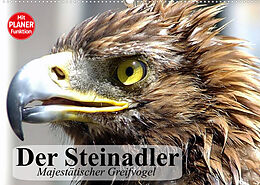 Kalender Der Steinadler. Majestätischer Greifvogel (Wandkalender 2023 DIN A2 quer) von Elisabeth Stanzer