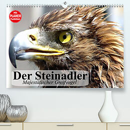Kalender Der Steinadler. Majestätischer Greifvogel (Premium, hochwertiger DIN A2 Wandkalender 2023, Kunstdruck in Hochglanz) von Elisabeth Stanzer