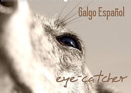 Kalender Galgo eye-catcher (Wandkalender 2023 DIN A2 quer) von 4pfoten-design - Andrea Redecker