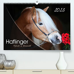 Kalender Haflinger-Pferde in Reinzucht (Premium, hochwertiger DIN A2 Wandkalender 2023, Kunstdruck in Hochglanz) von Natural-Golden.de