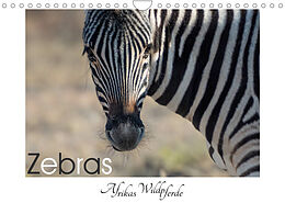 Kalender Zebras - Afrikas Wildpferde (Wandkalender 2023 DIN A4 quer) von Irma Van der Wiel