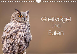 Kalender Greifvögel und Eulen (Wandkalender 2023 DIN A4 quer) von Markus van Hauten