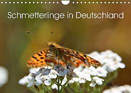 Kalender Schmetterlinge in Deutschland (Wandkalender 2023 DIN A4 quer) von Thomas Freiberg - Fotografie Licht &amp; Schatten