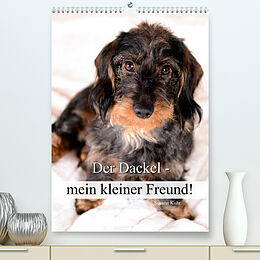 Kalender Der Dackel - mein kleiner Freund (Premium, hochwertiger DIN A2 Wandkalender 2023, Kunstdruck in Hochglanz) von Susann Kuhr