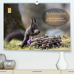 Kalender Eichhörnchen - Lustige Kurzgeschichten mit den quirligen Wildtieren (Premium, hochwertiger DIN A2 Wandkalender 2023, Kunstdruck in Hochglanz) von Birgit Cerny