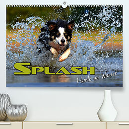 Kalender SPLASH - Hunde im Wasser (Premium, hochwertiger DIN A2 Wandkalender 2023, Kunstdruck in Hochglanz) von Renate Bleicher