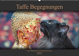 Kalender Taffe Begegnungen-Drei Waldkatzen auf Abenteuerreisen (Wandkalender 2023 DIN A2 quer) von Viktor Gross